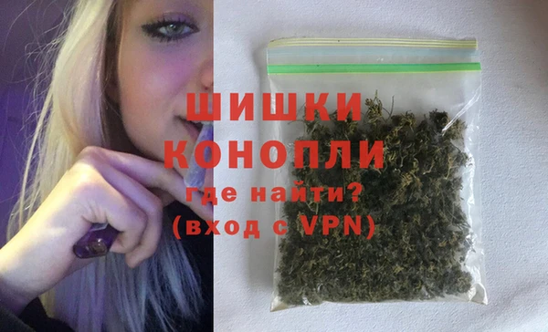 сатива Волосово