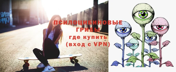 герыч Вяземский